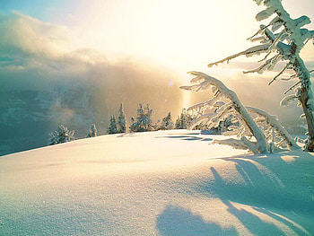 Frozen dawn, winter, shadows, dawn, snow, cold, trees, misty sky, sunrise HD wallpaper