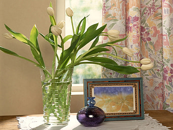 Plants, Flowers, Tulips HD wallpaper