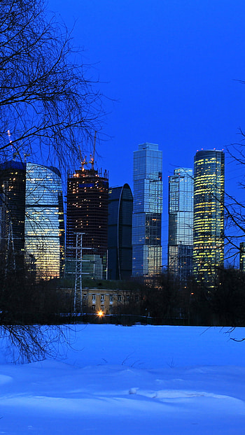 City on Winter Night, skyscraper, light, tree, snow, winter, night, city, man made, winter night, night snow HD phone wallpaper