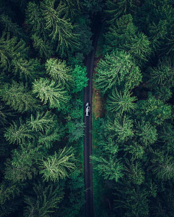 Nature, Trees, View From Above, Forest, Car, Machine HD phone wallpaper