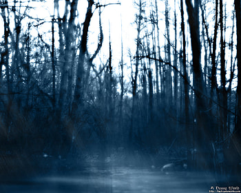 A Dying World, trees, leafless, forest, dieing HD wallpaper