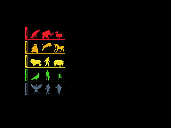 Life Evolution Minimalism, life, evolution, minimalism, inspiration HD wallpaper