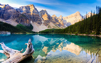Maroon Lake, White River National Forest, Canada, blue, river, white, maroon, mountain, lake, rock, day, wood, reflection, trees, national, nature, sky, water, forest HD wallpaper