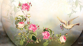 Look of Time, summer, roses, bird, flowers, spring, vintage HD wallpaper