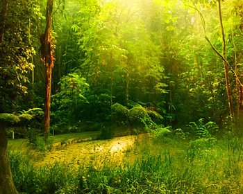 Green forest, trees, nature, forest, green HD wallpaper