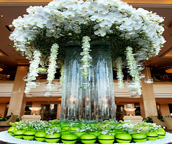 Shangri-La China Flower, Changri-La, Flowers, China, Beautiful HD wallpaper