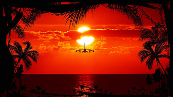 Tropical Sunset, palm, clouds, trees, plane, sky, nature, sunset HD wallpaper