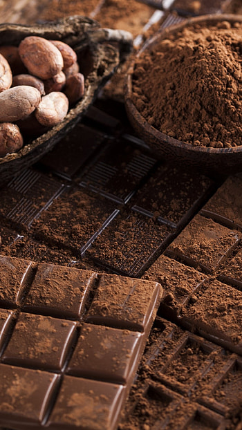 Food chocolate, Delicious treat, Tempting cocoa indulgence, Irresistible sensation HD phone wallpaper