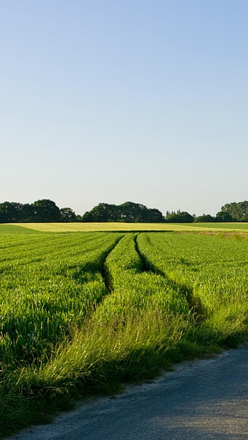 Background , Rural landscape HD phone wallpaper