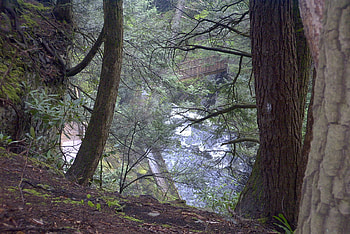 Vac. PA., 2008, bush kill falls HD wallpaper