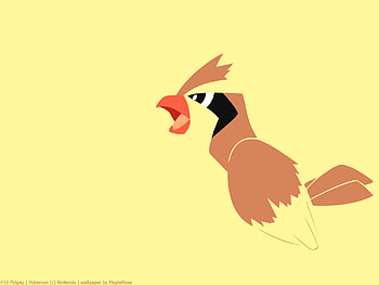 Pidgey the Tiny Bird Pokemon, flying, normal, pidgey, pokemon HD wallpaper