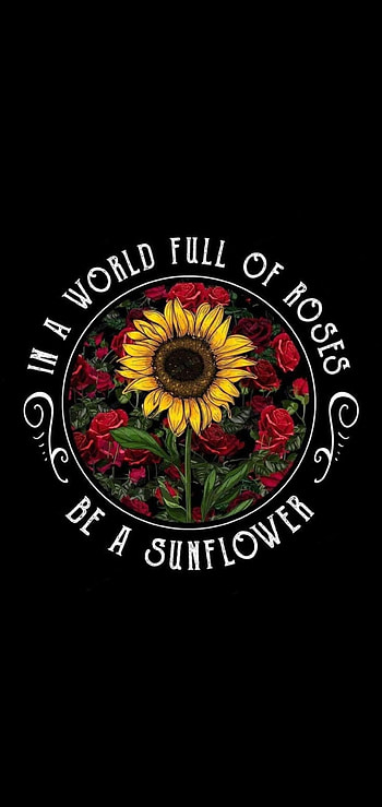 Flowers, rose, sunflower, flower HD phone wallpaper