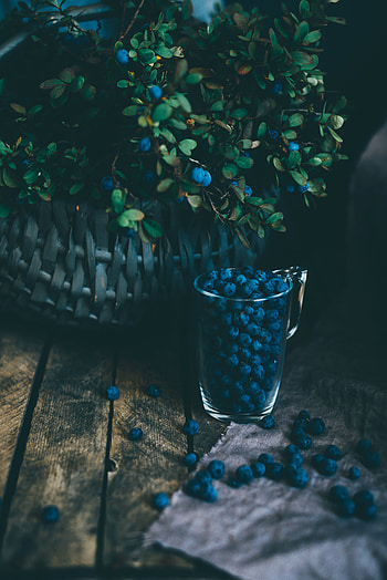 Food, Bilberries, Berries, Bush, Glass, Basket HD phone wallpaper