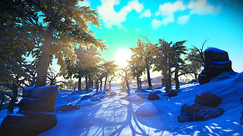 Winter Paradise, clouds, sunshine, sky, snow, trees HD wallpaper
