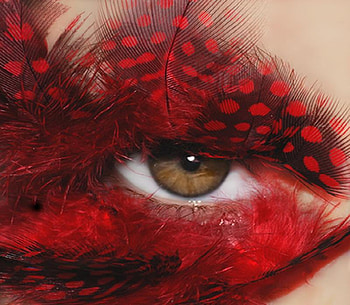Got my Eye on You, brown, eye, red HD wallpaper