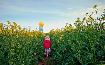 Balloons, Miscellanea, Miscellaneous, Girl, Polyana, Glade, Mood HD wallpaper