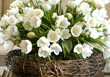 Romantic white, colors, , new, beauty HD wallpaper
