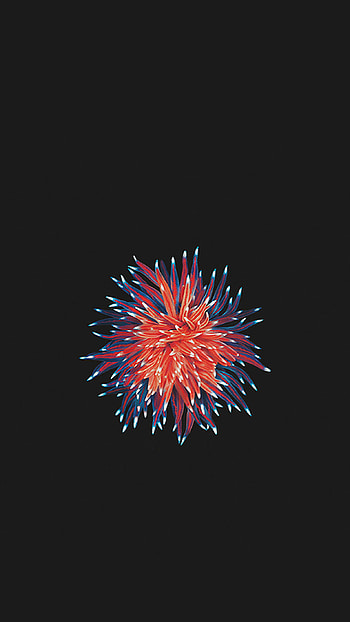 : ; Apple Watch HD phone wallpaper