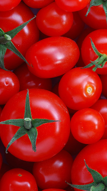 Tomato , High-definition , Vivid red, background HD phone wallpaper