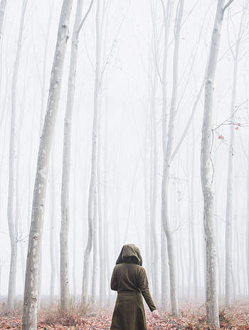 Nature, Silhouette, Miscellanea, Miscellaneous, Forest, Fog, Loneliness HD phone wallpaper