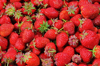 Vibrant close-up of fresh, organic, juicy strawberries displaying rich textures. HD wallpaper