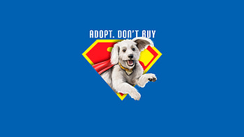 Krypto In Superman Movie 2025, superman-legacy, krypto, superheroes, dc-comics, movies, 2025-movies, artwork, art, digital-art, artstation HD wallpaper