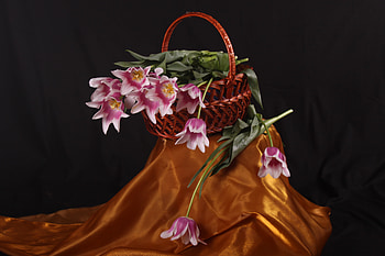 Still Life, bouquet, pink tulips, colors, beautiful, tulips, basket, pretty, flowers HD wallpaper