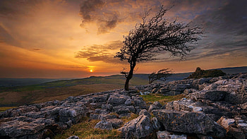 Twistleton Scar, Yorkshire Dales National Park, England, UK, sky, sun, tree, clouds, landscape, colors HD wallpaper