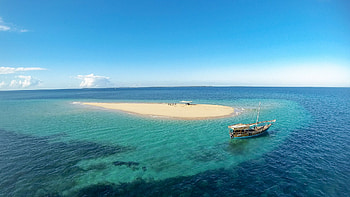 Mozambique safaris, Wildlife encounters, Nature exploration, Safari adventures HD wallpaper