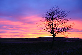 Morning Sunrise, Nature, Sunrise, graphy, Sky HD wallpaper