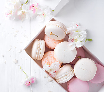 White-pink Macaron, flowers HD wallpaper