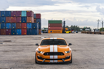 Ford Mustang Shelby Gt350, Vehicles, Muscle Car, Ford HD wallpaper