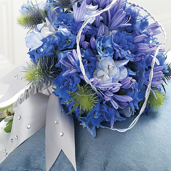 :), blue, soft, nature, flowers HD wallpaper
