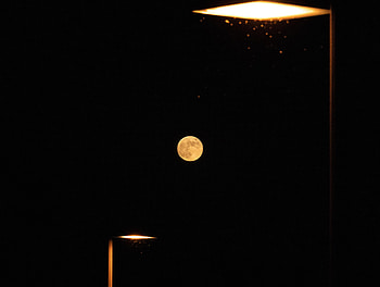 Night, Moon, Dark, Lamp, Lantern, Full Moon HD wallpaper