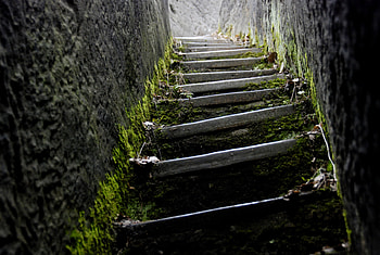 Dark stairway, stairway, goth, spooky, creepy, dark HD wallpaper