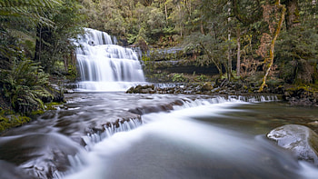 Liffey Falls, Tasmania, trees, river, cascades, rocks HD wallpaper