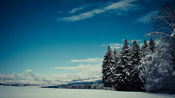 Winter, Nature, Trees, Mountains, Snow, Height, Gloomy, Polyana, Glade HD wallpaper