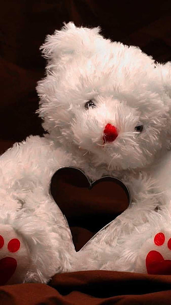 Teddy Bear, white fur HD phone wallpaper