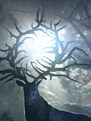 Shadow and Bone, TV Shows, World building, Geek HD phone wallpaper