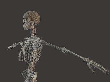 Skeleton HD wallpaper
