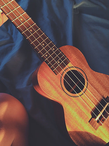Ukulele love, Melodies in focus, Musical passion, Captured moments HD phone wallpaper