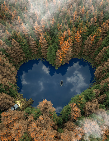 Nature, Lake, Forest, Boat, Heart HD phone wallpaper