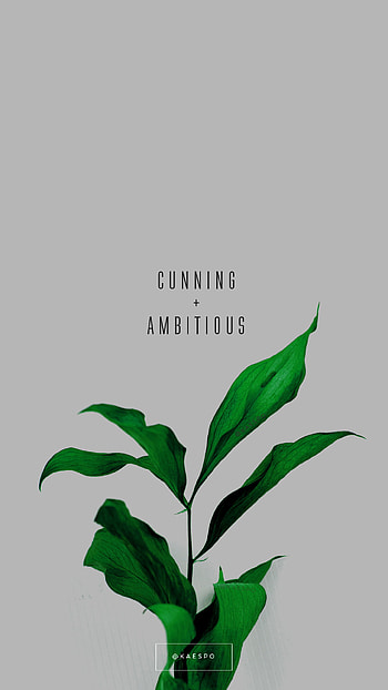 Cunning And Ambitious Slytherin Quote on Green Floral Background by kaespo HD phone wallpaper