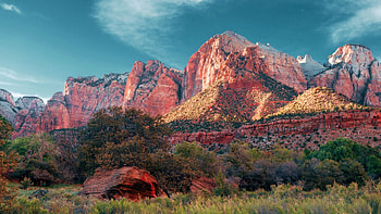 Zion National Park, Utah, landscape, trees, sky, rocks, usa HD wallpaper