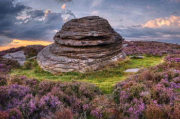 Beehive Rock Formation, nature, flowers, england, rock HD wallpaper