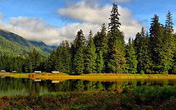 Peaceful Place, peaceful, houses, beauty, trees, mountains, water, woods, house, landscape, paradise, beautiful, grass, tree, lake, green, view, clouds, nature, sky, cottage, lovely, forest, splendor HD wallpaper