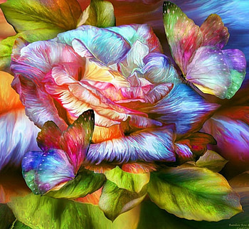 Colorful Rose, artwork, painting, butterfly, petals, flower, blossom HD wallpaper
