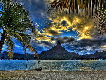 Nature, Sea, Clouds, Beach, Sand, Palms, Mountain, Vertex, Top, Branches, Branch HD wallpaper