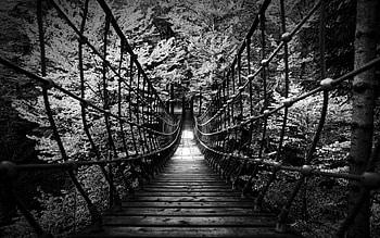 jungle suspension bridge in BW, slats, suspension, bridge, BW, jungle HD wallpaper