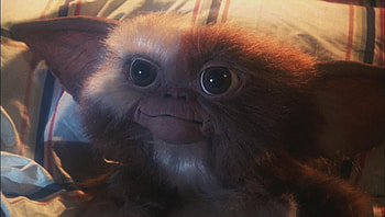 Gizmo , Charming creature, Movie-inspired, Fan-favorite HD wallpaper